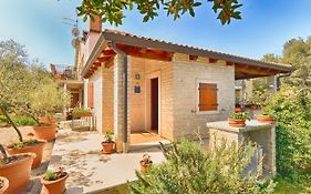 Apartments Valter 881